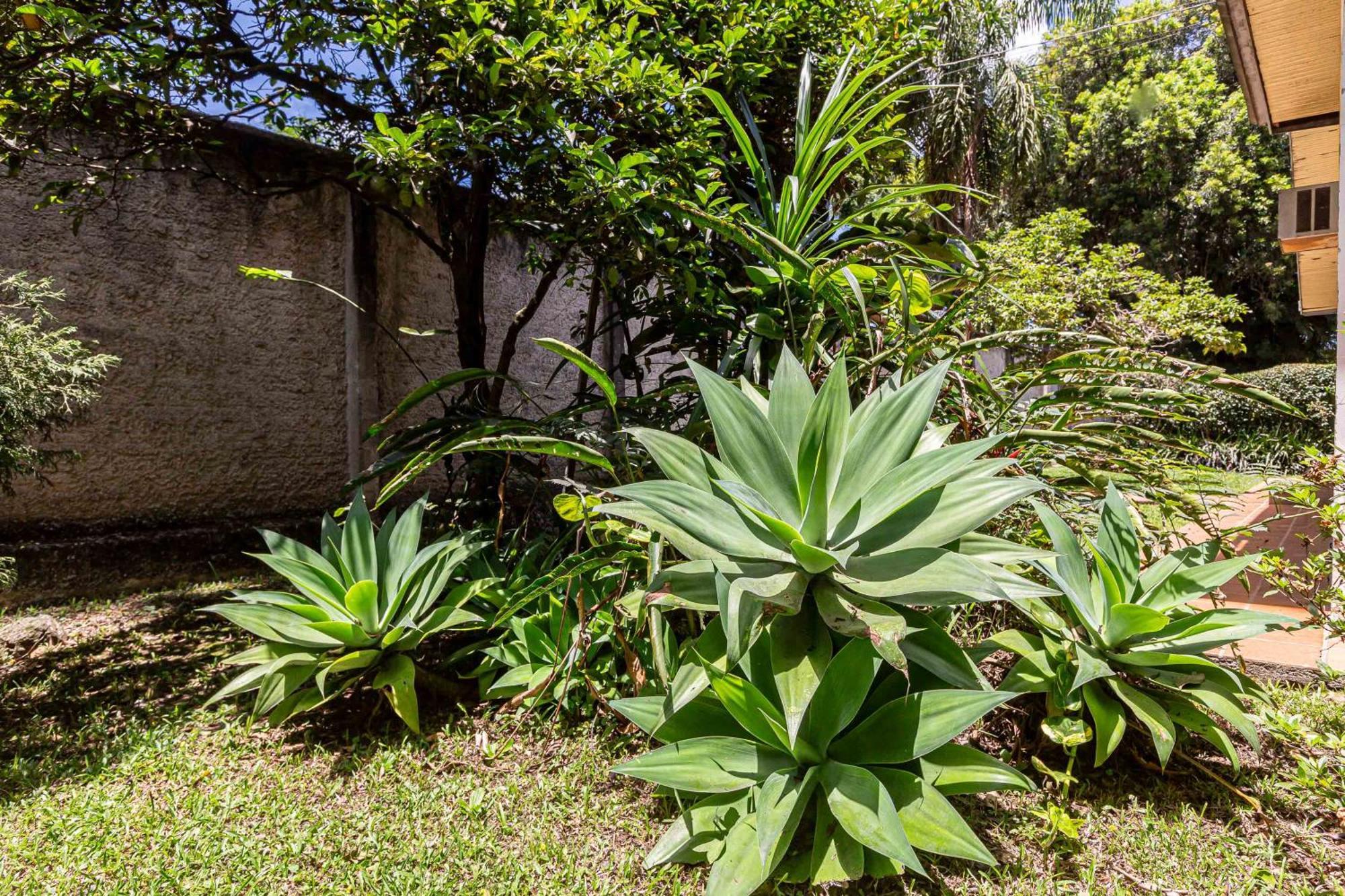 Memora Guesthouse Curitiba - Quartos Em Casa Proximo Ao Parque Bacacheri エクステリア 写真